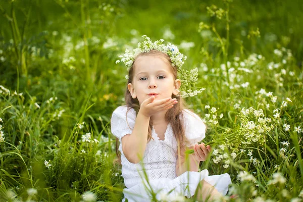 Kleines Mädchen in einem Feld mit weißen Blumen — Stockfoto