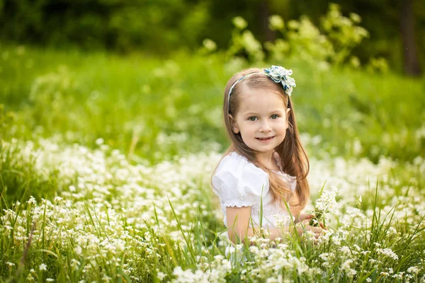 Kleines Mädchen in einem Feld mit weißen Blumen — Stockfoto