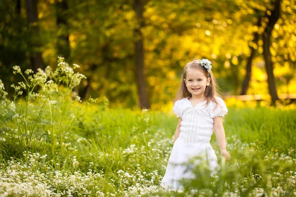 Niña en un campo con flores blancas —  Fotos de Stock