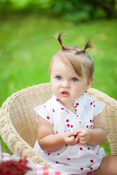 Lichte zomer berry partij in park — Stockfoto