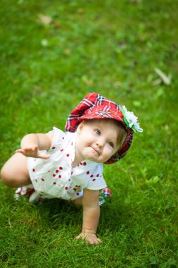 Parlak yaz berry parti parkta