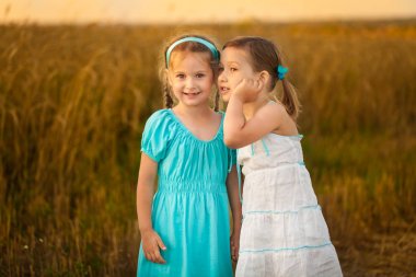 Sıcak ve güneşli yaz akşamı buğday alan çocuklarda