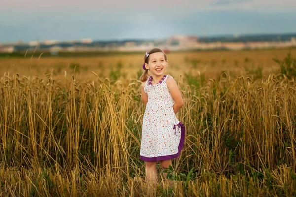 Chica feliz en el campo de trigo en la cálida y soleada noche de verano —  Fotos de Stock