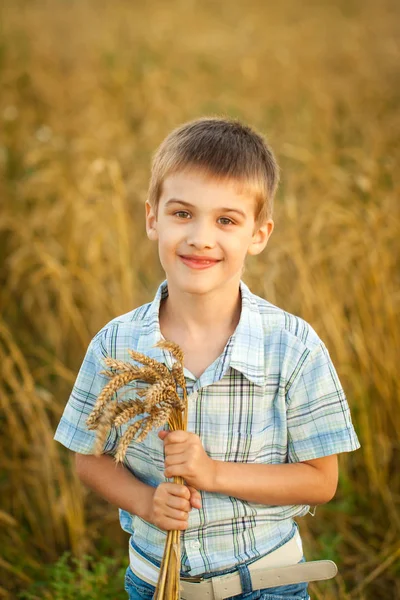 Sonbahar buğday alanında mutlu çocuk — Stok fotoğraf