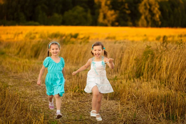 Sıcak ve güneşli yaz akşamı buğday alan çocuklarda — Stok fotoğraf