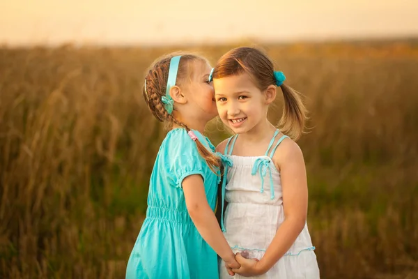 Enfants dans le champ de blé lors d'une soirée d'été chaude et ensoleillée — Photo