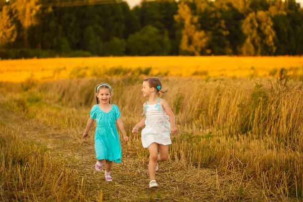 Dzieci w polu pszenicy na ciepły i słoneczny letni wieczór — Zdjęcie stockowe