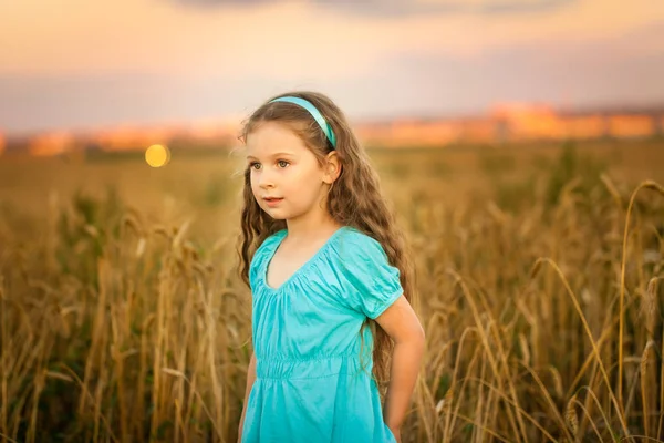 Chica feliz en el campo de trigo en la cálida y soleada noche de verano —  Fotos de Stock