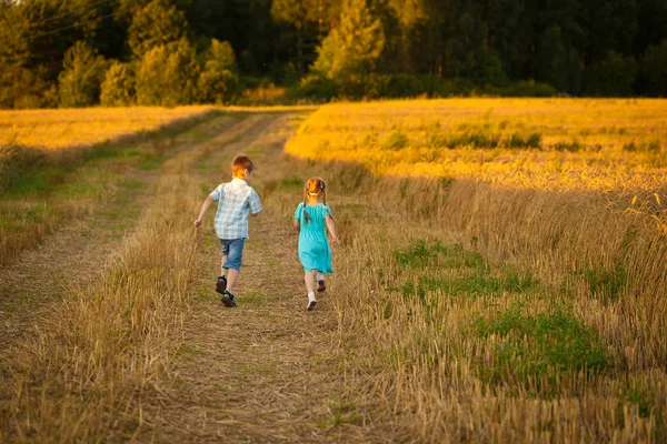 따뜻하고 화창한 여름 저녁에 밭에서 아이 들 — 스톡 사진