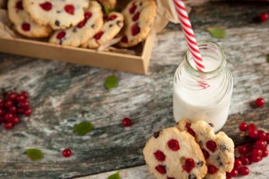 Ev yapımı kurabiye guelder rose çilek ve çikolata ile