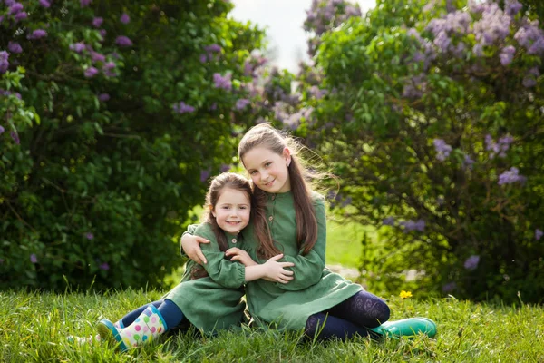 Két Nővér Zöld Vászon Ruhában Szórakozni Parkban Virágzó Orgonával Élvezze — Stock Fotó