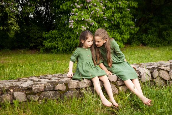 Duas Irmãs Vestido Linho Verde Divertir Parque Com Lilases Floridos — Fotografia de Stock