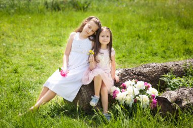 Güzel küçük kız kardeşler bir yaz bahçesinde büyük bir kütükte