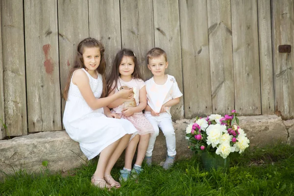 Ritratto Bambini Felici Con Coniglio Adorabile Giardino Estivo Concetto Pasquale — Foto Stock