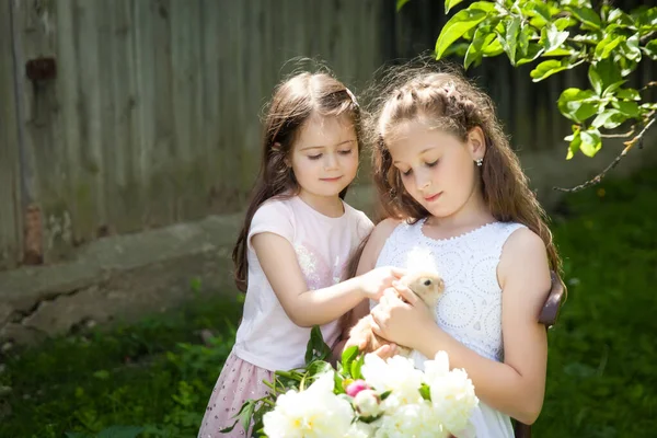 Ritratto Sorelle Felici Con Adorabile Coniglio Giardino Estivo Concetto Pasquale — Foto Stock