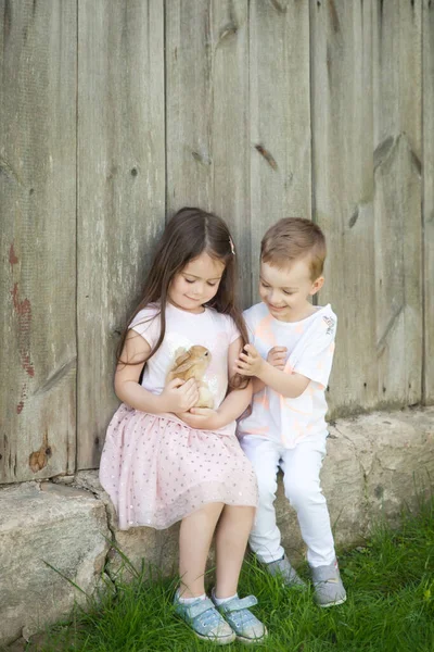 Portrait Enfants Heureux Avec Lapin Adorable Dans Jardin Été Concept — Photo
