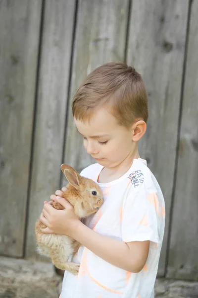 Bir Yaz Bahçesinde Sevimli Bir Tavşanla Mutlu Bir Çocuğun Portresi — Stok fotoğraf