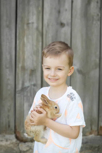 Portrét Šťastného Chlapce Rozkošným Králíkem Letní Zahradě Velikonoční Koncept — Stock fotografie