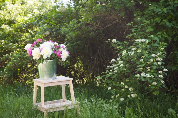 Taburete Madera Con Cubo Lleno Peonías Jardín Primavera —  Fotos de Stock