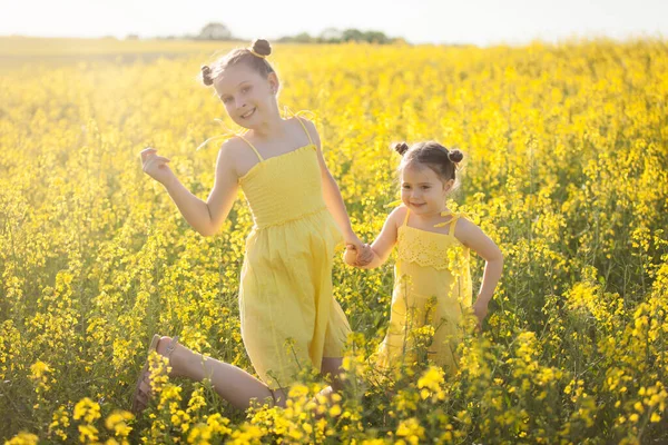 Sarı Elbiseli Şirin Kızlar Çiçek Açan Tecavüz Tarlasında Eğleniyorlar Doğa — Stok fotoğraf