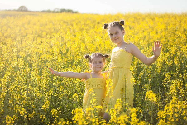 귀여운 소녀들 꽃피는 지역에서 재미있게 자연의 꽃들은 씨앗밭을 — 스톡 사진