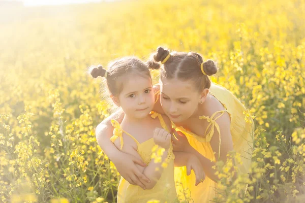 Sarı Elbiseli Şirin Kızlar Çiçek Açan Tecavüz Tarlasında Eğleniyorlar Doğa — Stok fotoğraf
