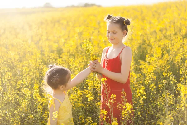 노랗고 귀여운 소녀들 꽃피는 강간의 분야에서 재미를 자연의 꽃들은 씨앗밭을 — 스톡 사진