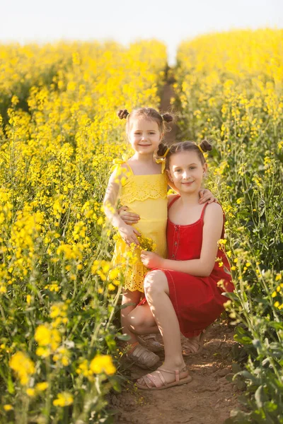 Sarı Kırmızı Elbiseli Şirin Kızlar Çiçek Açan Tecavüz Tarlasında Eğleniyorlar — Stok fotoğraf