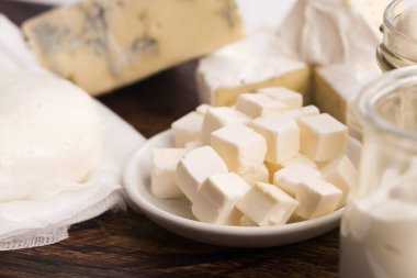 farklı peynir çeşitleri.