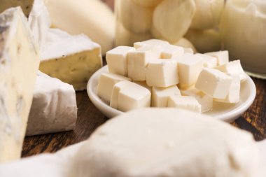 farklı peynir çeşitleri.