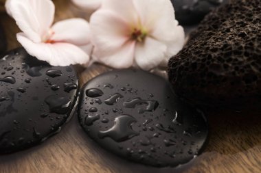 Pembe çiçekler, taşlar ve su Spa natürmort