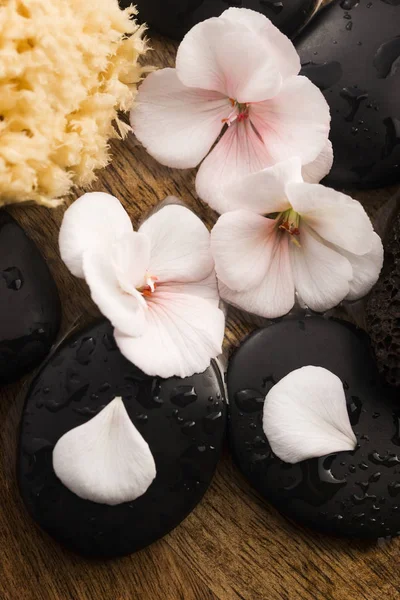 Pembe çiçekler, taşlar ve su Spa natürmort — Stok fotoğraf