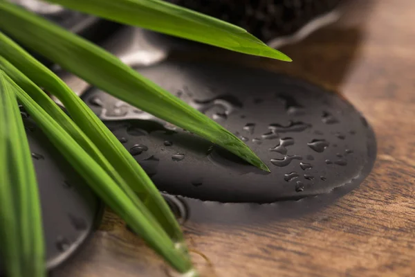 Bodegón Spa, con hoja verde, piedras y agua —  Fotos de Stock