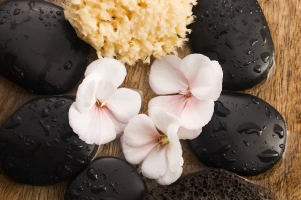 Spa still life, with pink flowers, stones and water — Stock Photo, Image