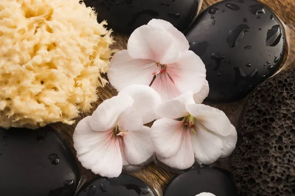 Bodegón Spa, con flores rosadas, piedras y agua —  Fotos de Stock