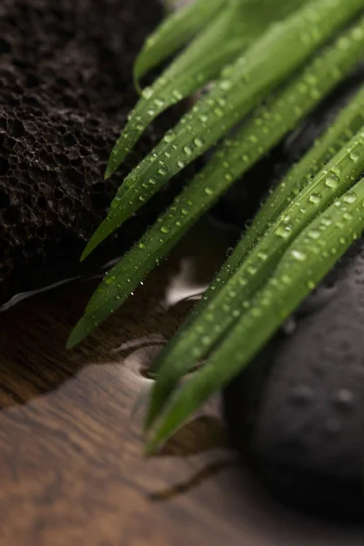 Bodegón Spa, con hoja verde, piedras y agua —  Fotos de Stock