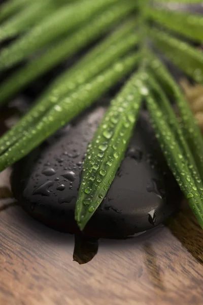 Bodegón Spa, con hoja verde, piedras y agua —  Fotos de Stock