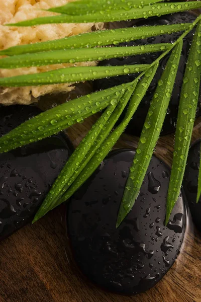 Natura morta termale, con foglie verdi, pietre e acqua — Foto Stock