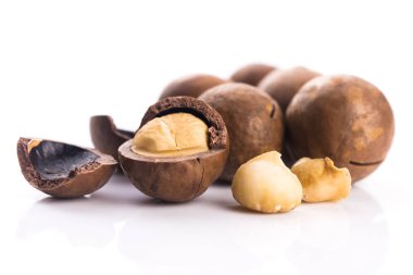 Macadamia fıstığı. Makro görünümü