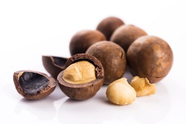 Macadamia fıstığı. Makro görünümü