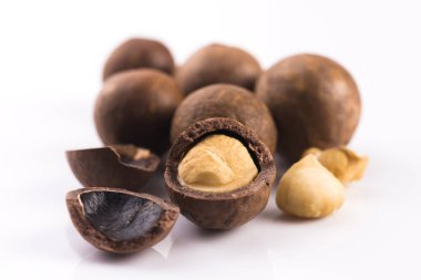 Macadamia fıstığı. Makro görünümü