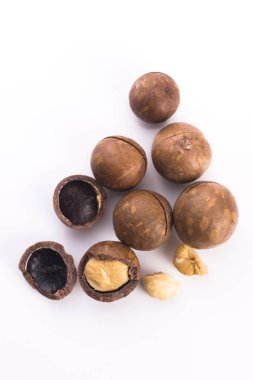 Macadamia fıstığı. Makro görünümü
