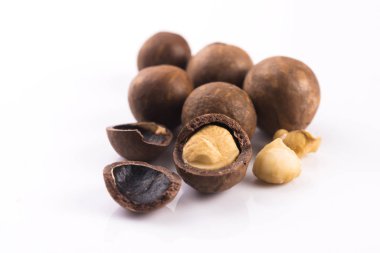 Macadamia fıstığı. Makro görünümü
