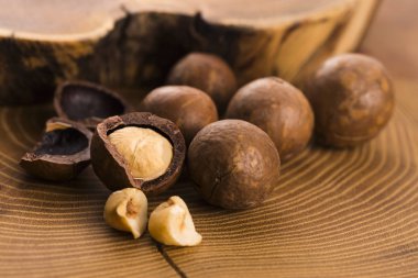 Macadamia fıstığı. Makro görünümü
