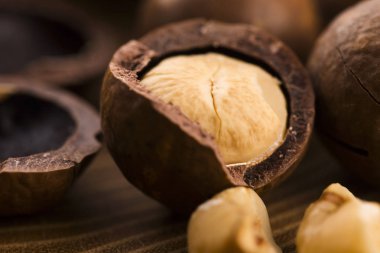 Macadamia fıstığı. Makro görünümü