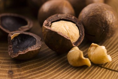 Macadamia fıstığı. Makro görünümü