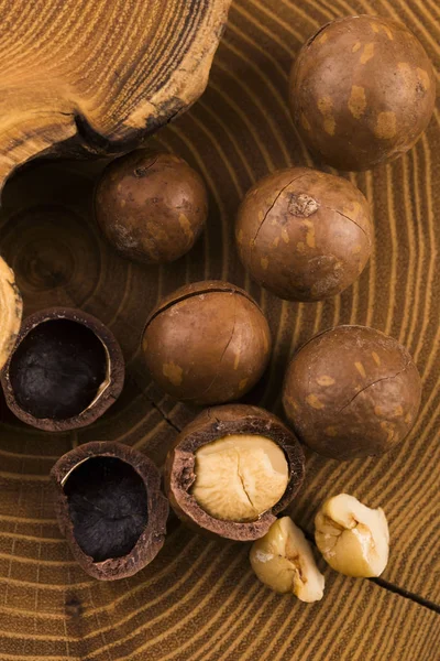 Macadamia fıstığı. Makro görünümü