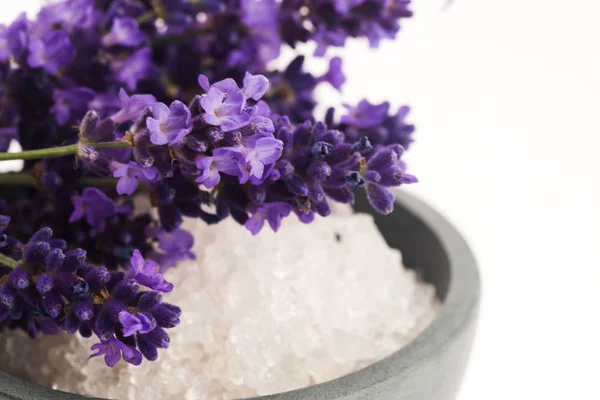 Lavender bath salt and some fresh lavender — Stock Photo, Image