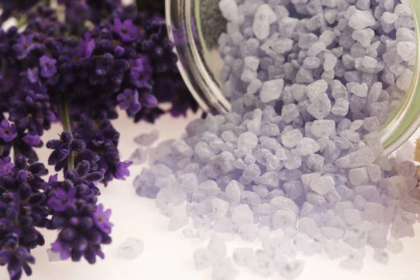 Lavendelbadzout en verse lavendel — Stockfoto