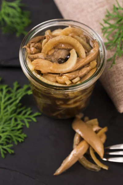 Fungo de mel marinado para o Natal — Fotografia de Stock